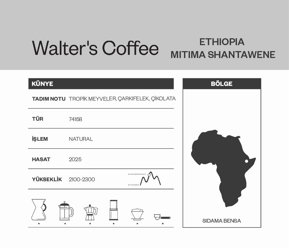 Ethiopia Mitima Shantawene Kahve Bilgi Kartı - Sidama Bensa, Natural İşlem, Tropik Meyve Notaları
